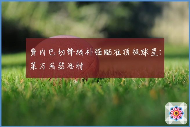 费内巴切锋线补强瞄准顶级球星：莱万或瑟洛特