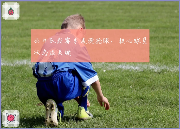 公牛队新赛季表现抢眼，核心球员状态成关键